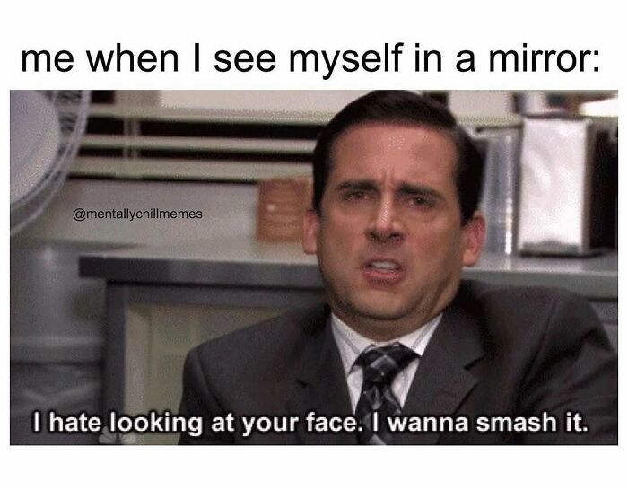 A meme with Michael Scott from The Office reacting to his reflection with the caption, me when I see myself in a mirror. I hate looking at your face. I wanna smash it, depicting mentally being between Im Fine and Oh No.