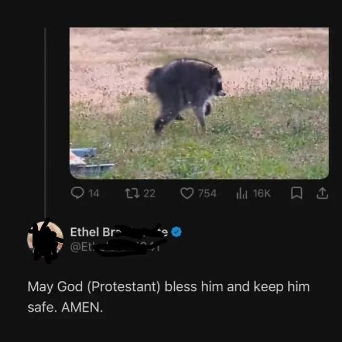 Elderly people sharing a picture of a raccoon with a prayer, hilariously proving they need supervised internet access.