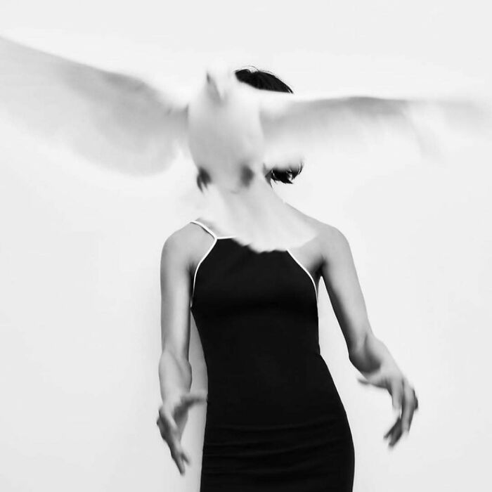 A black and white image of a woman in a black dress with a blurry white bird flying past her face, showcasing bizarre Zara content.