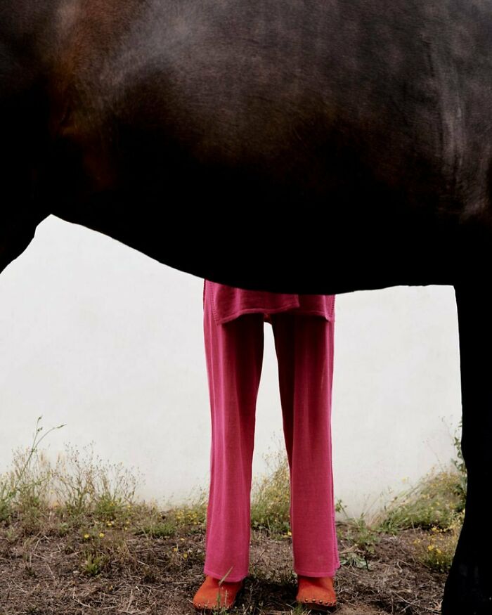 A person in pink pants and orange shoes standing behind a horse, showcasing bizarre content from the Zara website.