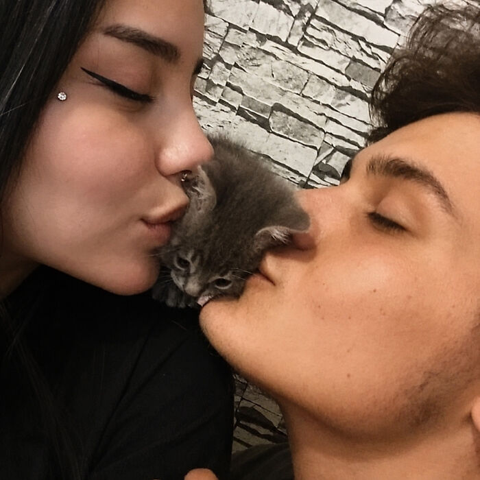 Hilarious cat moments: A couple kissing with a tiny gray kitten between their noses.
