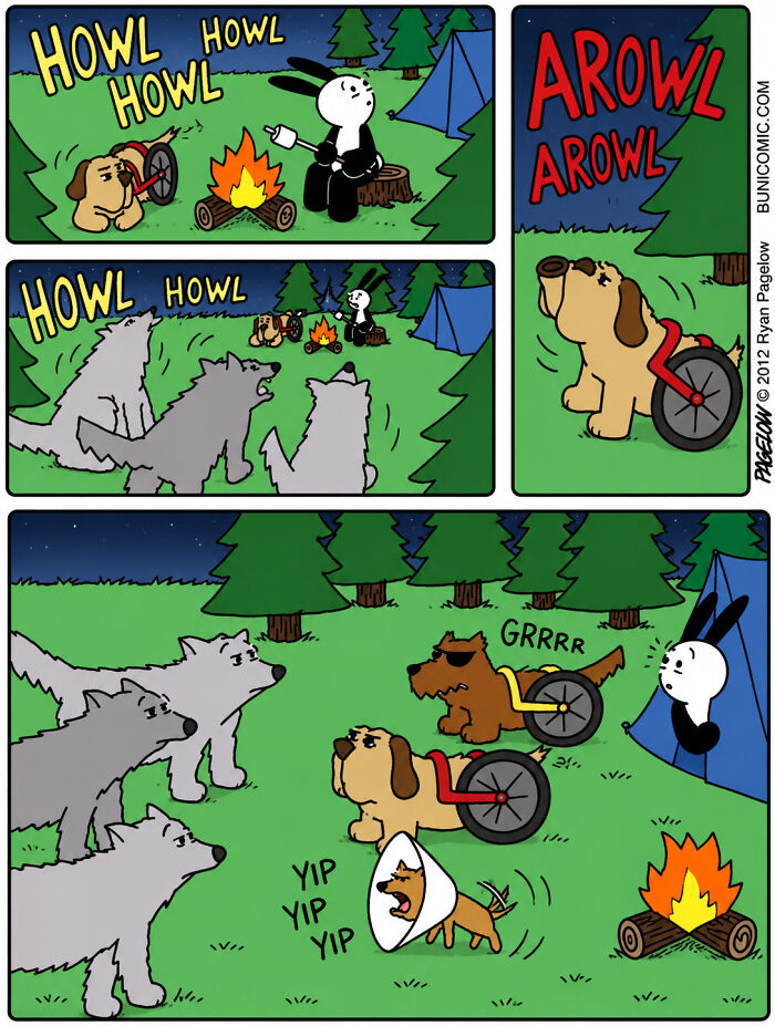 This Grumpy Dog In A Wheelchair Quietly Became One Of The Best Characters In Ryan Pagelow’s Buni Comics (34 Pics)