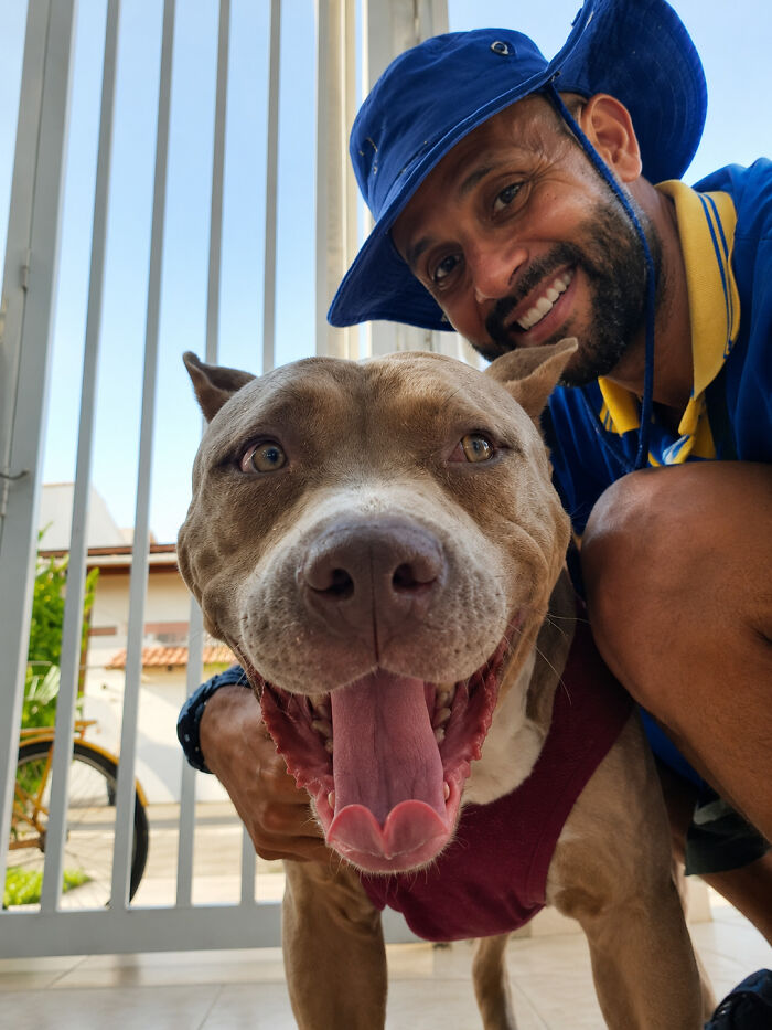 A kind mailman smiles broadly, taking a selfie with an excited pitbull, stopping to befriend dogs.