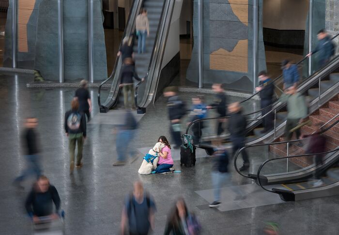 A woman sits with her service dog amidst blurred people and escalators in an International Pet Photography Awards image.