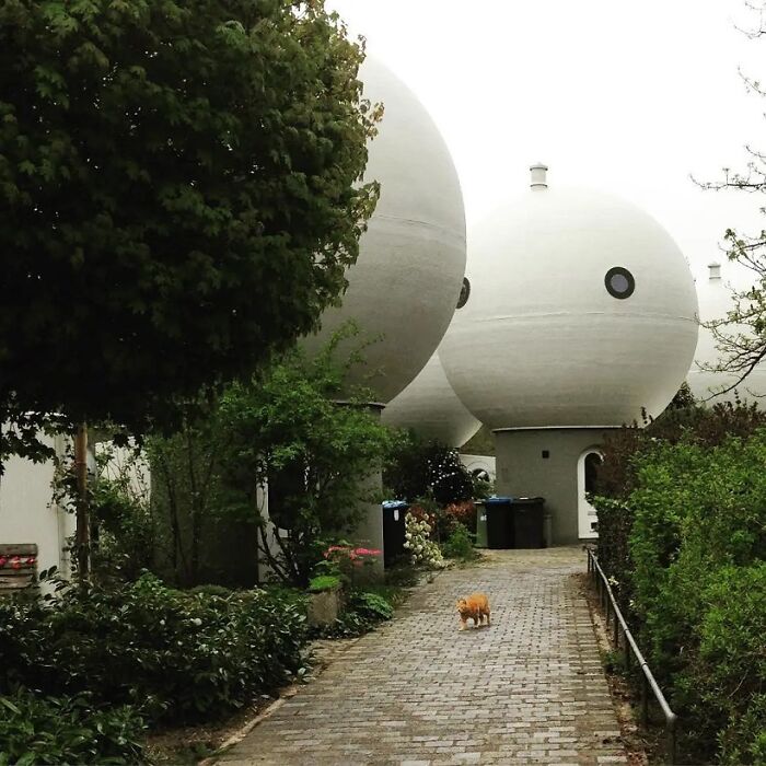 Spherical, mushroom-like houses with brilliant design choices, nestled among trees, with a small dog walking on a cobblestone path.