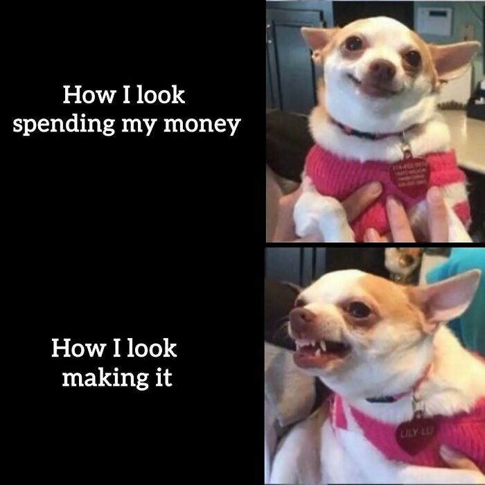 A meme of a dog showing happy and angry expressions, depicting relatable memes about having to work tomorrow.