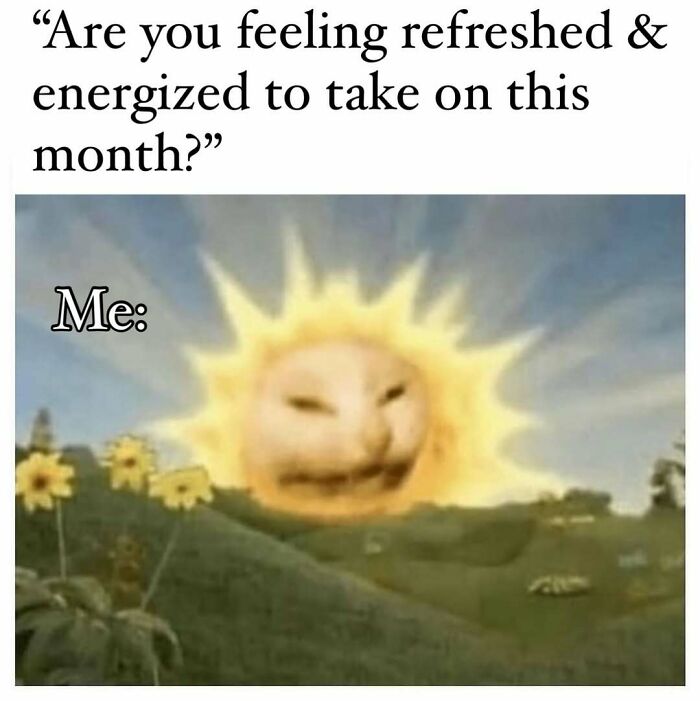 A cat face in the sun representing summer heat, a funny meme about summer heat.
