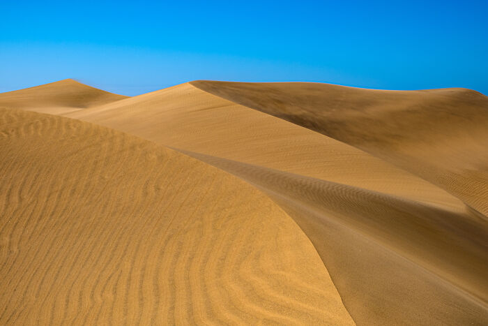 Award-winning photographer captures the beauty of nature: stunning close-up portrait of sweeping desert sand dunes.