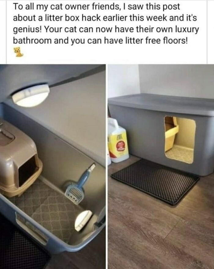 A clever craft project with a litter box hack, offering a luxury bathroom for cats and litter-free floors.