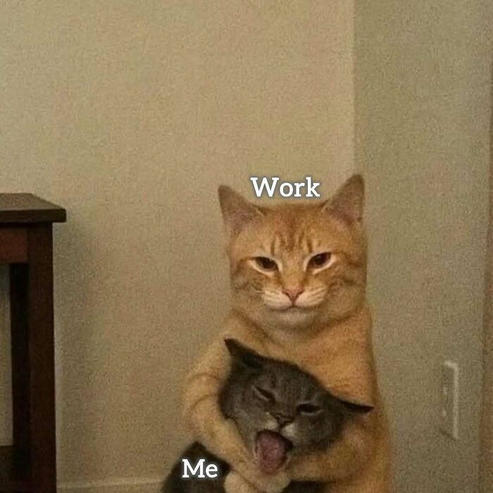 A relatable meme of a cat labeled Work hugging another cat labeled Me, representing the struggles of work.