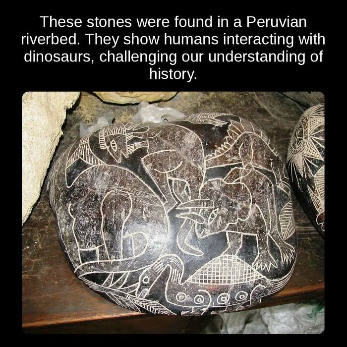 Unseen facts: Ancient Peruvian stones depicting humans interacting with dinosaurs, challenging historical understanding.