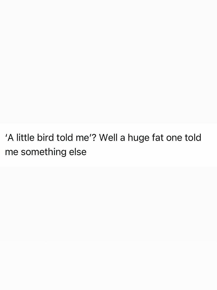 Funny post about a little bird versus a huge fat one, perfectly capturing the reality of being an adult.