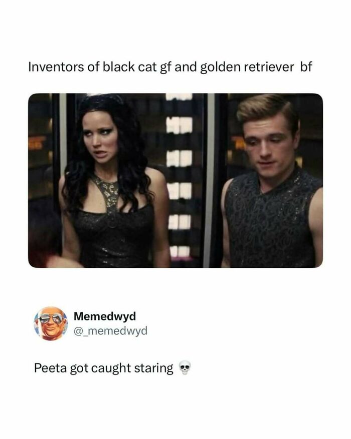 A meme with a still from Hunger Games. Jennifer Lawrence and Josh Hutcherson are shown with text about black cat gf and golden retriever bf. A humorous pop culture post.