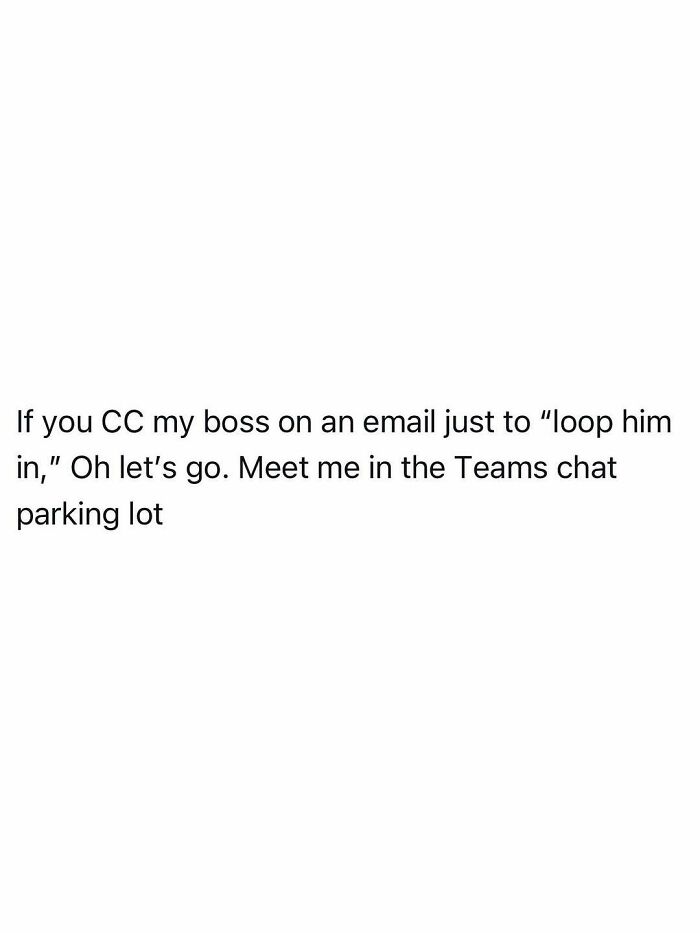 Funny posts about CCing bosses on emails, capturing the reality of being an adult.