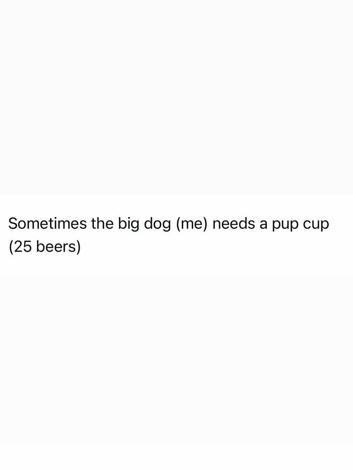 Funny post about needing a pup cup of 25 beers, perfectly capturing the reality of being an adult.