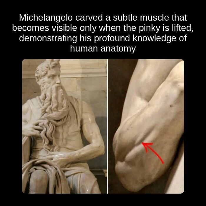 Unseen facts: Michelangelo's profound knowledge of human anatomy revealed in a subtle muscle sculpture.