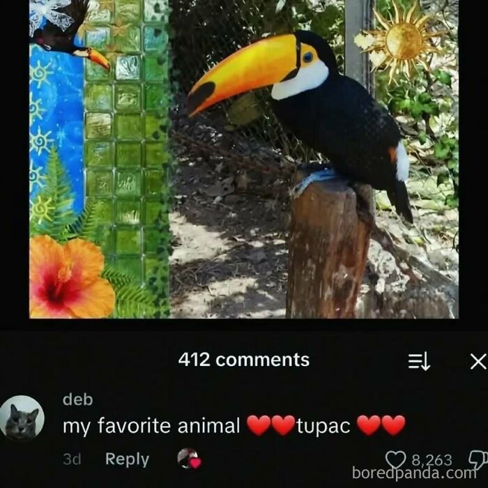 A cringe post showing a Toucan, with a comment humorously misidentifying it as 'tupac'.