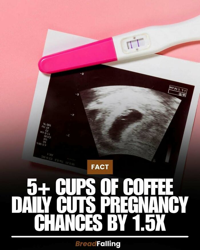 A pregnancy test and an ultrasound image, highlighting interesting facts about coffee's effect on pregnancy chances.