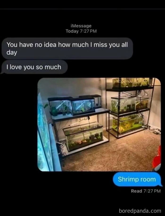 A cringe post showing a text message with a photo of a room full of shrimp tanks, followed by the reply 'Shrimp room'.