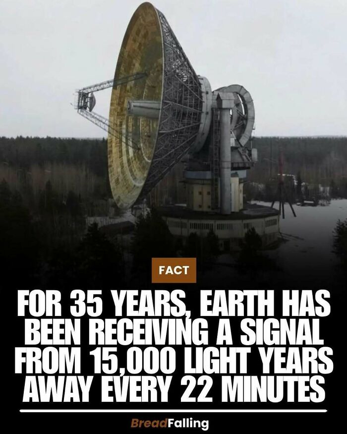 A large satellite dish pointing towards the sky, illustrating interesting facts about signals from space.