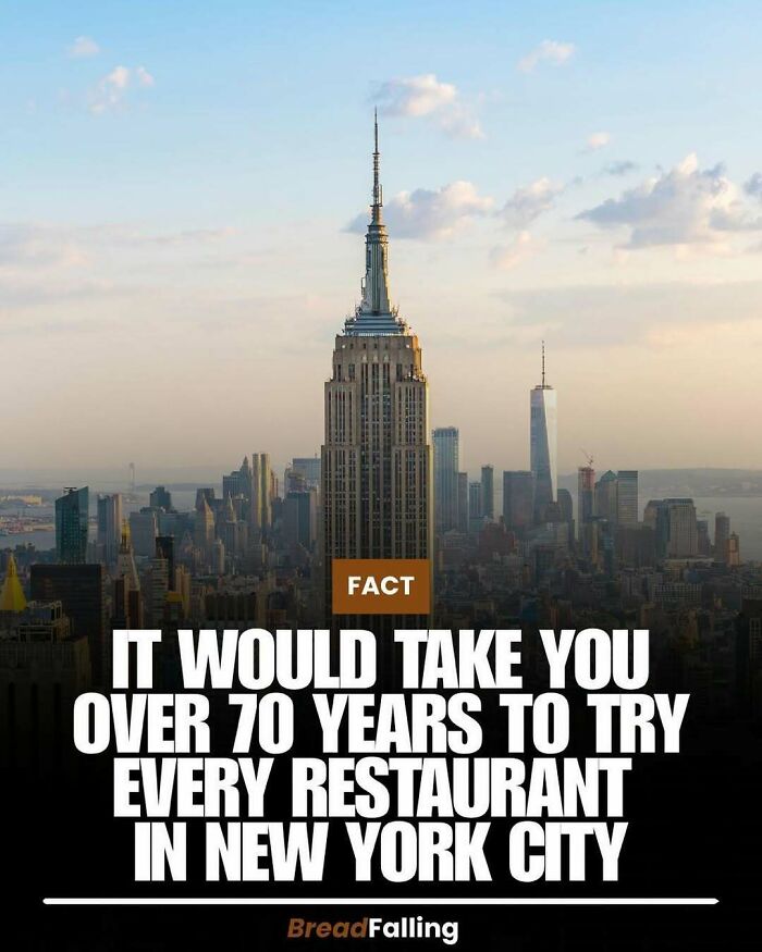 An aerial view of the Empire State Building in New York City, providing interesting facts for productive scrolling.