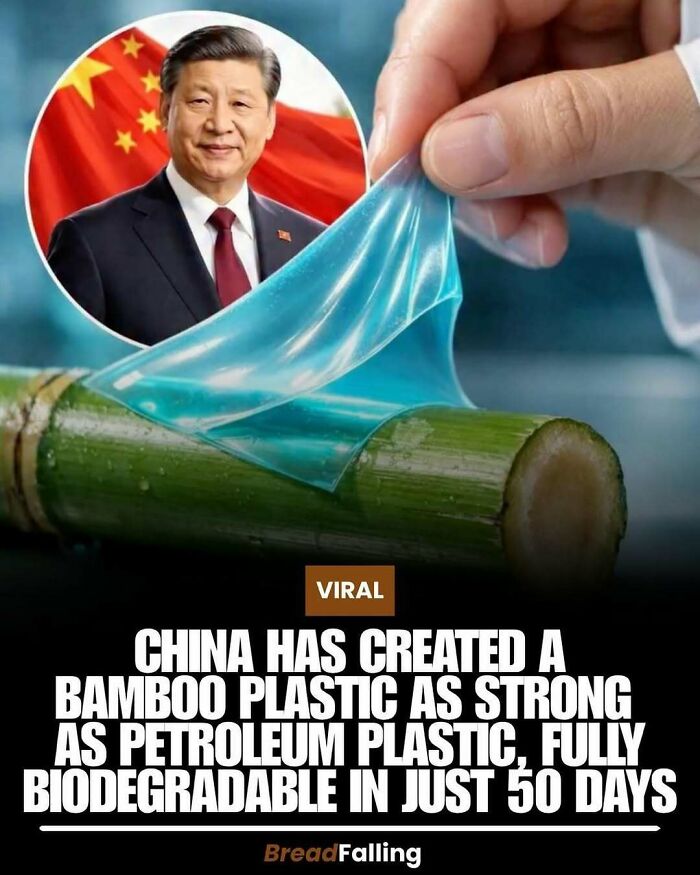 Chinese President Xi Jinping next to a hand peeling biodegradable bamboo plastic from a plant, showcasing interesting facts on innovation.