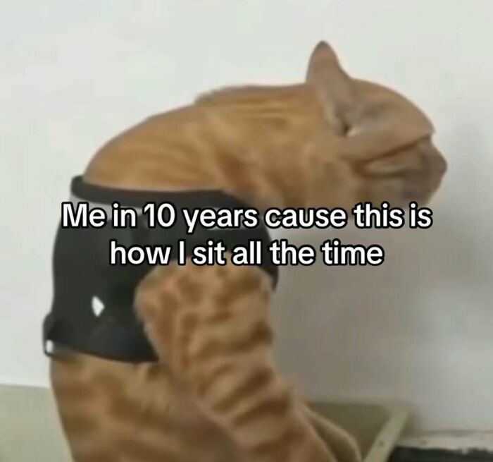 An orange cat sitting hunched over with the text Me in 10 years cause this is how I sit all the time, a cringe meme.