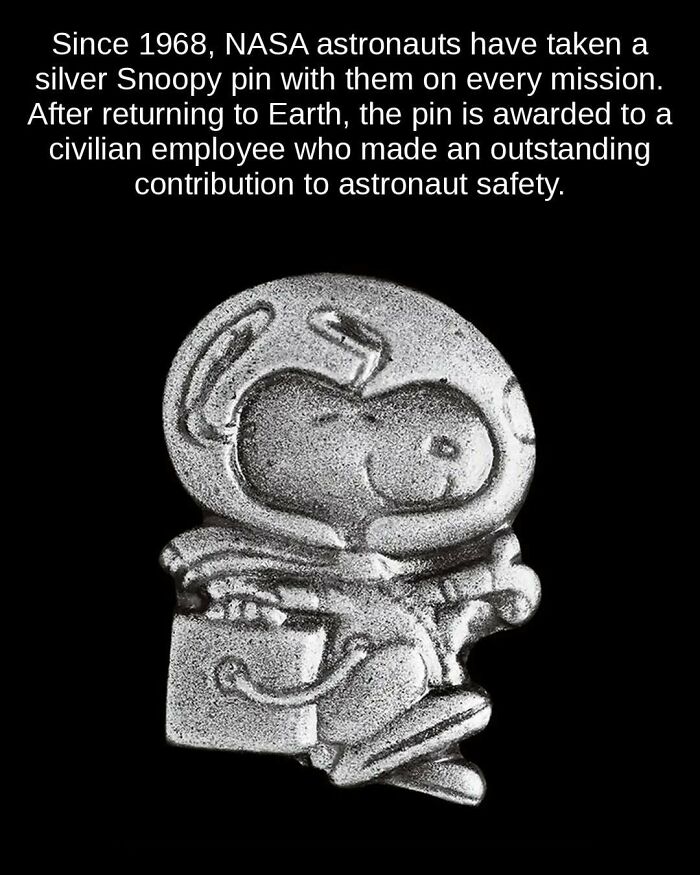 A silver Snoopy astronaut pin awarded for astronaut safety, an unseen fact about NASA missions and contributions.