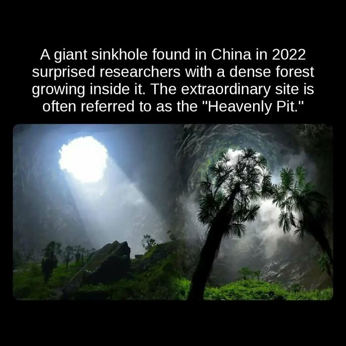 Unseen facts: A giant sinkhole in China, the Heavenly Pit, with a dense forest growing inside it.