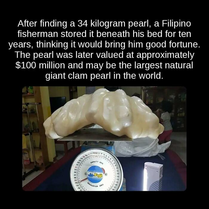 The largest natural giant clam pearl on a scale, an unseen fact about its discovery and value.