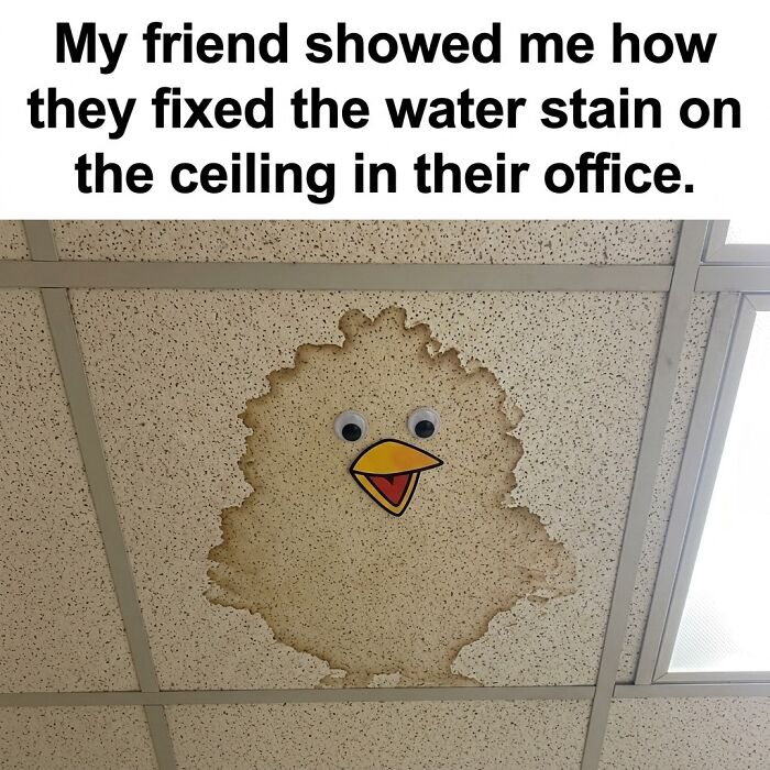 A clever craft project using googly eyes and a beak to turn a ceiling water stain into a cartoon chicken.