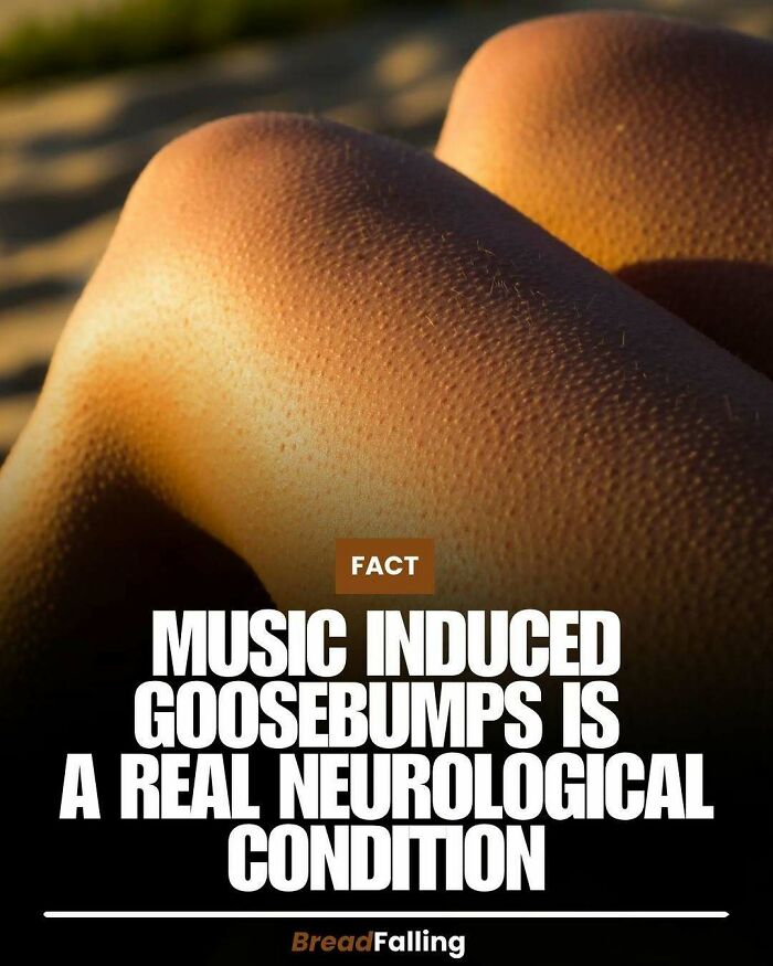Interesting facts: Close-up of legs with goosebumps, representing the fact about music-induced goosebumps.