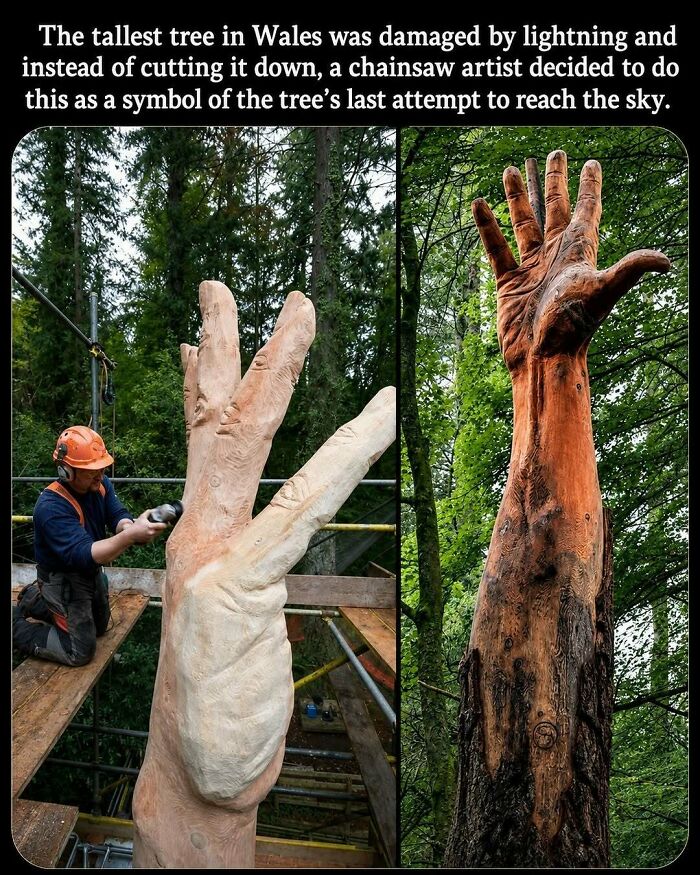 A tree carved into a giant hand, one of many clever craft projects to try.