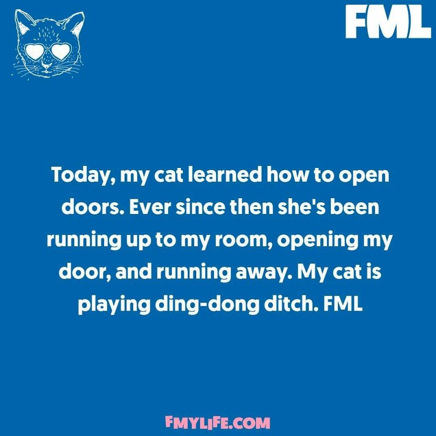 A cat with hearts in its eyes looks down at a confession about a cat opening doors.
