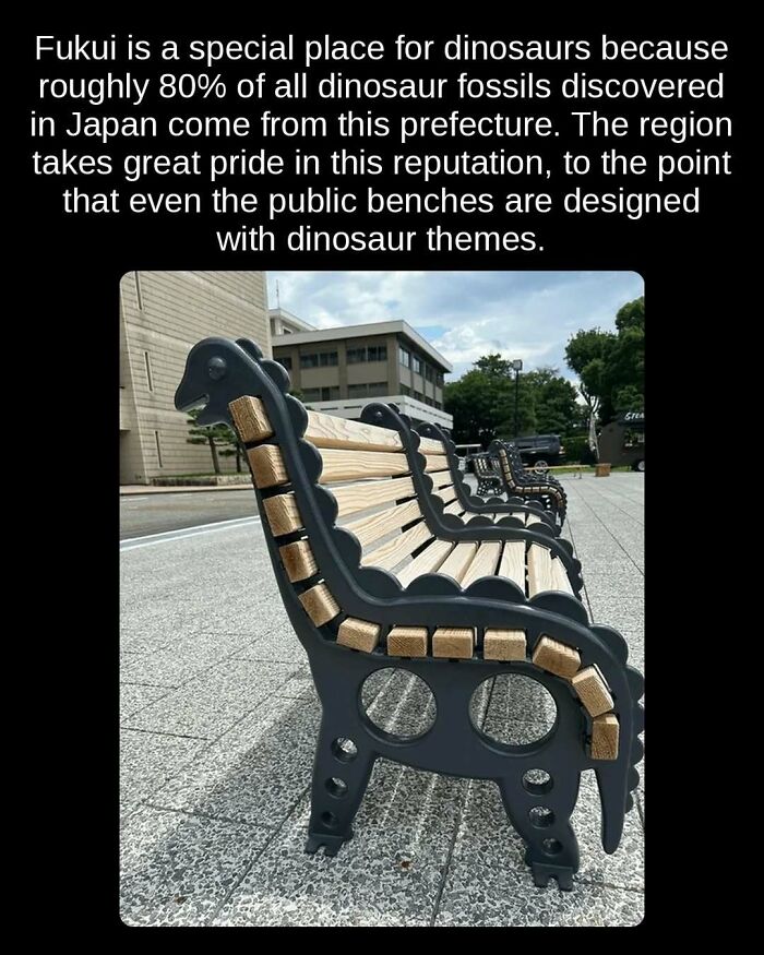 Dinosaur-themed public benches in Fukui, Japan, a region known for dinosaur fossil discoveries and unseen facts.