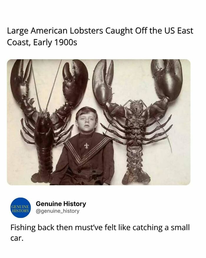 A young boy with two enormous American lobsters, a fascinating fact about historical catches changing how you see the world.