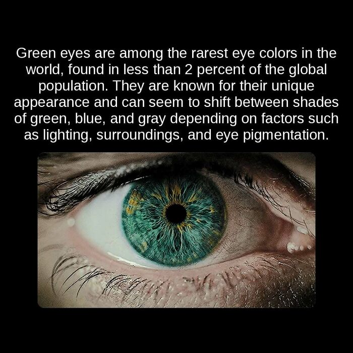 A close-up of a vibrant green eye, showcasing one of the rarest eye colors, an unseen fact about human biology.