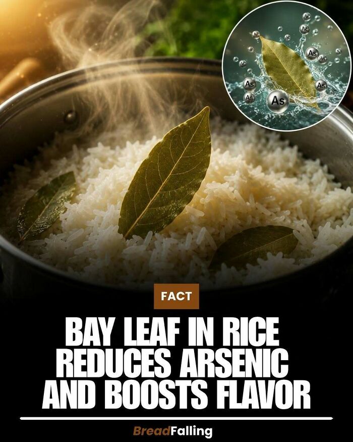 Interesting fact: Bay leaf in rice reduces arsenic, enhancing productivity and flavor.