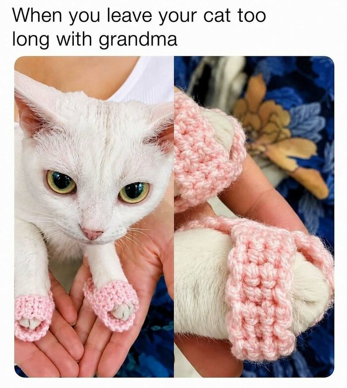 A white cat with small, pink crocheted covers on its paws, showcasing a clever craft project.