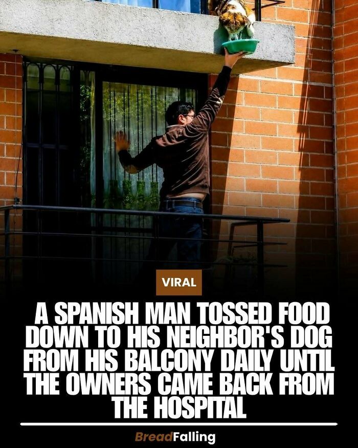 Man feeding a dog from a balcony, one of many interesting facts about human kindness and scrolling.