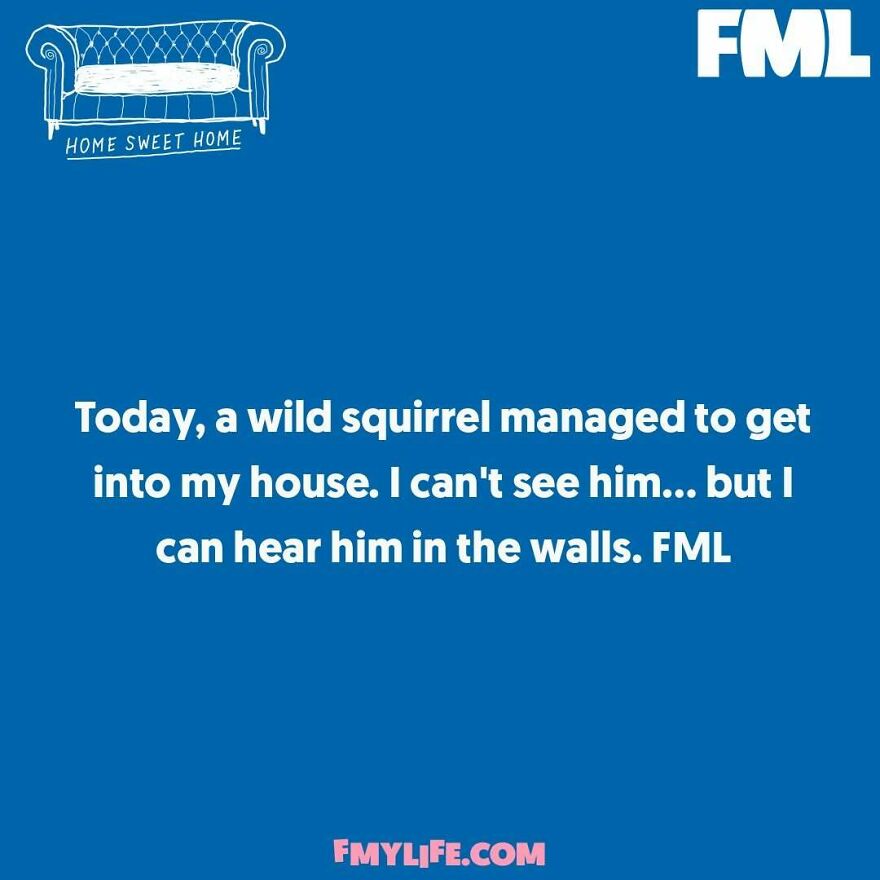 A ridiculous confession about a wild squirrel heard in the walls of a house.