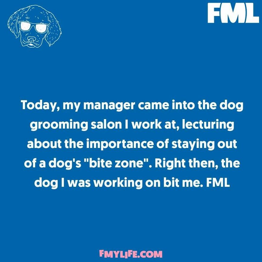 A ridiculous confession about a dog bite incident at a grooming salon.