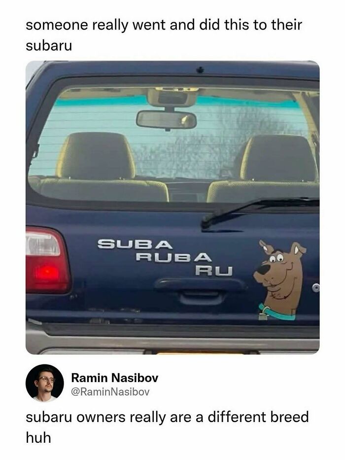 A blue Subaru with a Scooby-Doo sticker and customized text, a classic random meme for a laugh.
