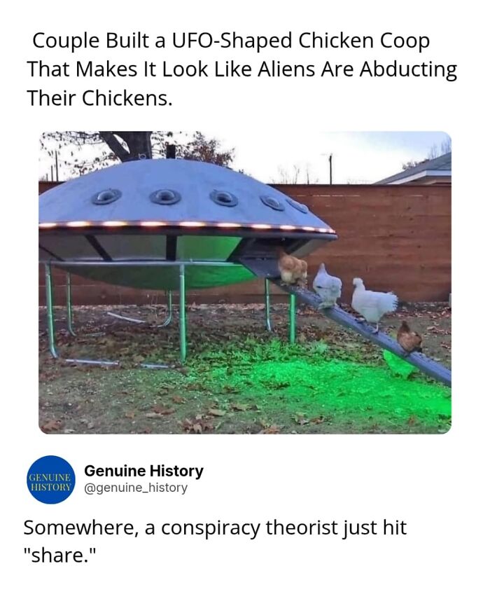 Chickens entering a UFO-shaped coop with green lights, a fascinating fact changing how you see the world.