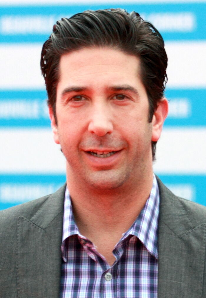 David Schwimmer, a celebrity, smiling faintly against a blue background, in a grey blazer and plaid shirt, from favorite celebrities.