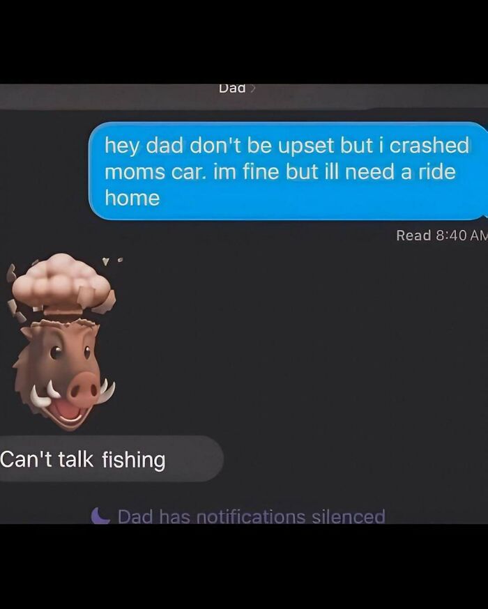 A random meme featuring a text message where a dad reacts to a crashed car with a funny fishing emoji for a quick laugh.