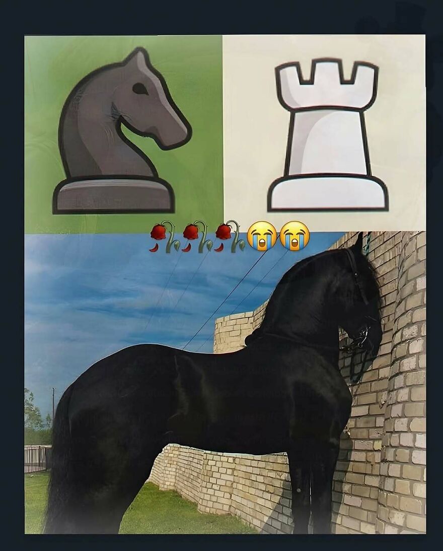 A funny and stupid meme combining chess pieces with a real horse, a screenshot of the weird humor found online.