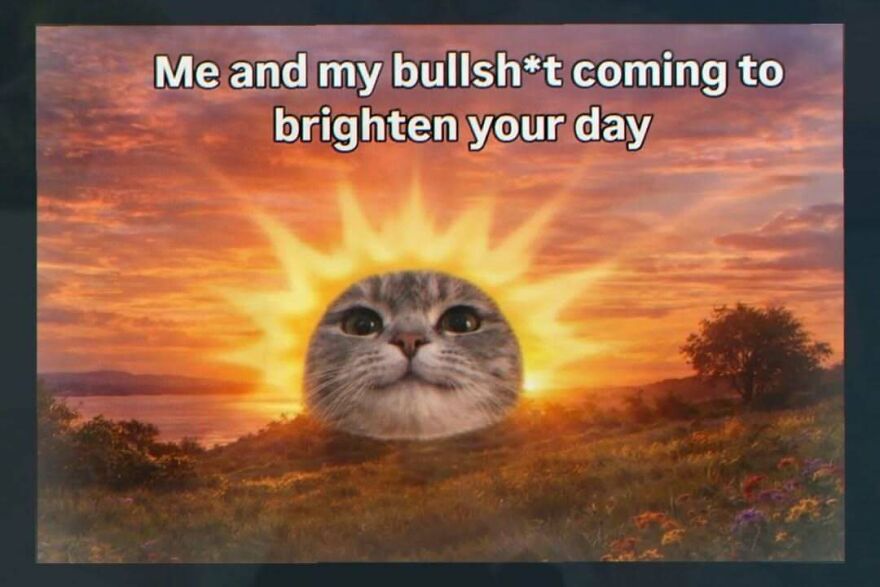 Funny screenshot of a cat's head superimposed on a sun, brightening your day, showing weird internet humor.