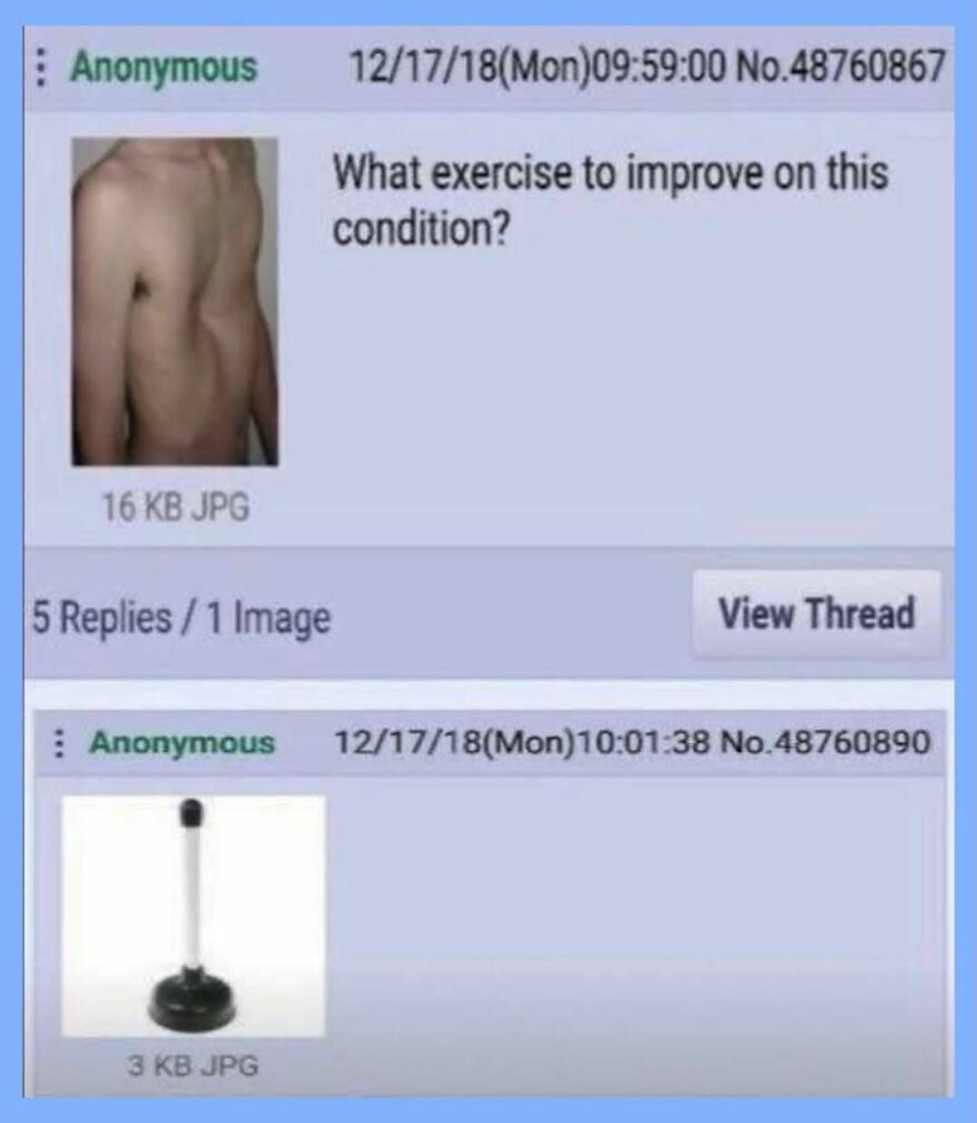 Stupid screenshot from 4chan showing a person asking for exercise help, and someone suggesting a plunger, showcasing weird people on the internet.