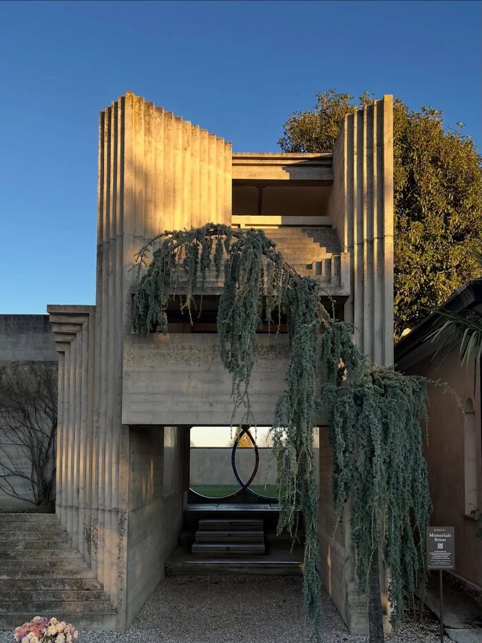 A remarkable design of a concrete structure with interesting geometric patterns and a large weeping tree cascading down the side.